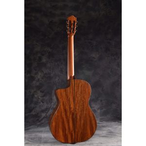 dan guitar classic martinez mp 14 ovangkol artist 4