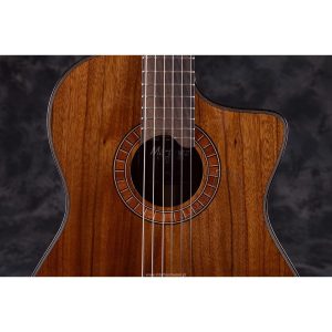 dan guitar classic martinez mp 14 ovangkol artist 6