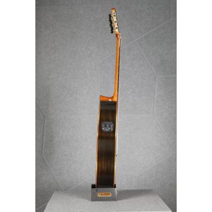 dan guitar classic martinez mp 14 rs rosewood 9