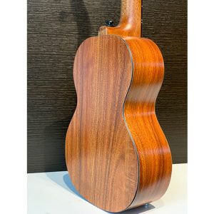 dan ukulele concert enya euc x1 3