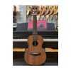 dan ukulele concert enya euc x1 eq 1