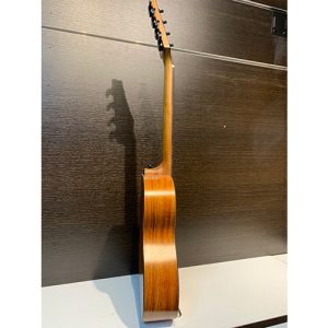 dan ukulele tenor enya eut x1c 3