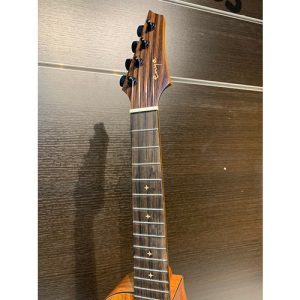 dan ukulele tenor enya eut x1c 5